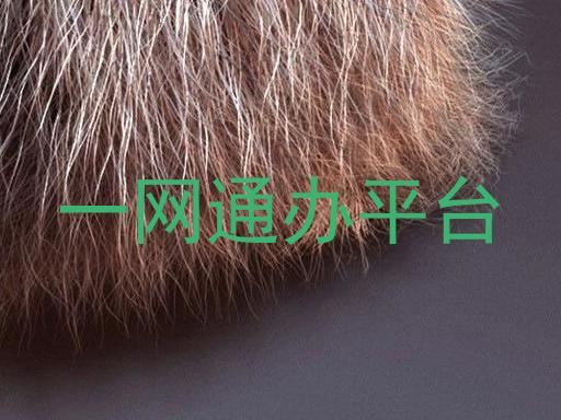 一网通办平台