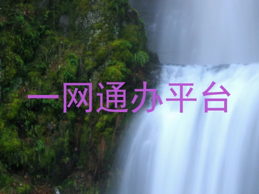 一网通办平台