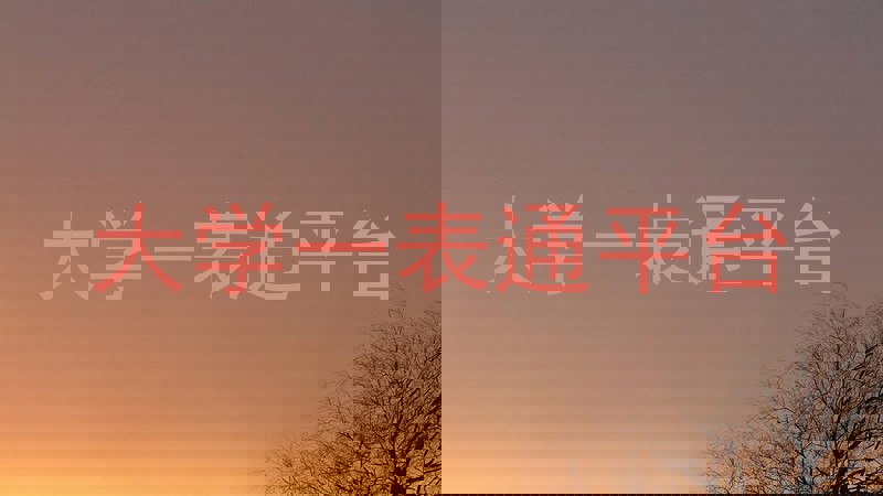 大学一表通平台