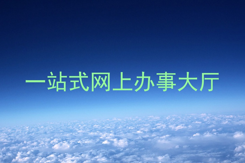 一站式网上办事大厅