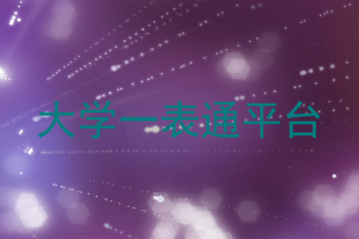 大学一表通平台