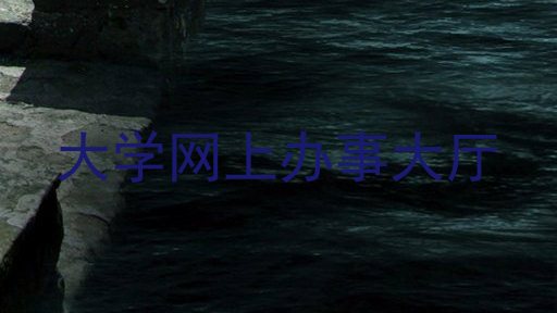 大学网上办事大厅
