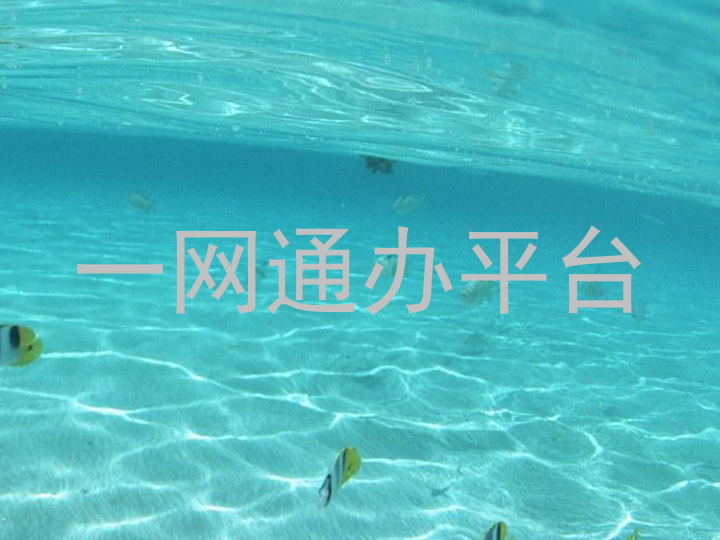一网通办平台