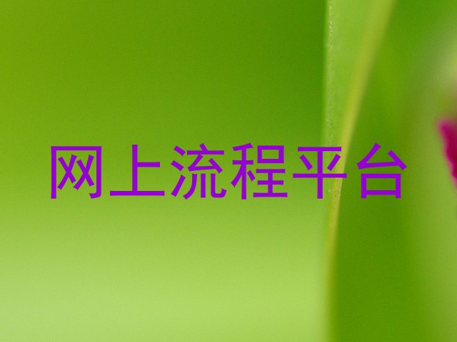 网上流程平台