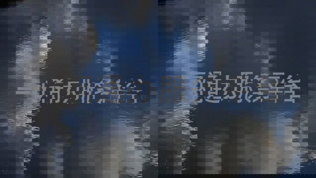 一网通办服务平台