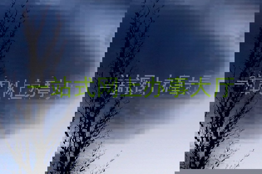 一站式网上办事大厅