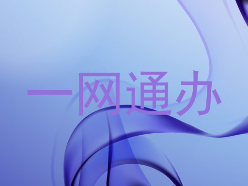 一网通办