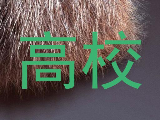 高校