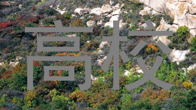 高校