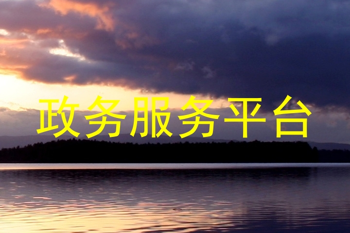 政务服务平台