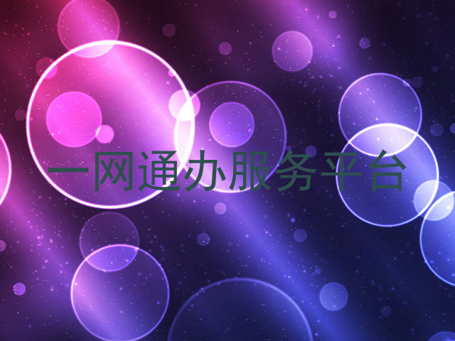 一网通办服务平台