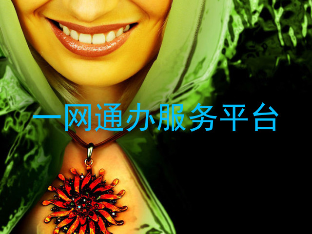 一网通办服务平台