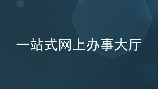 一站式网上办事大厅