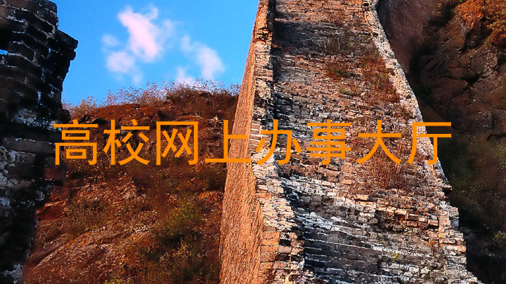高校网上办事大厅