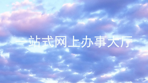 一站式网上办事大厅