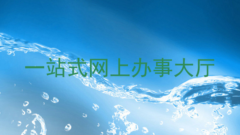 一站式网上办事大厅
