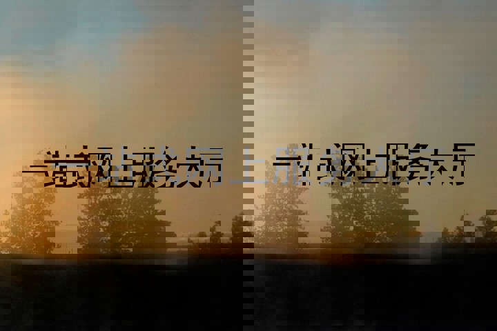 一站式网上服务大厅