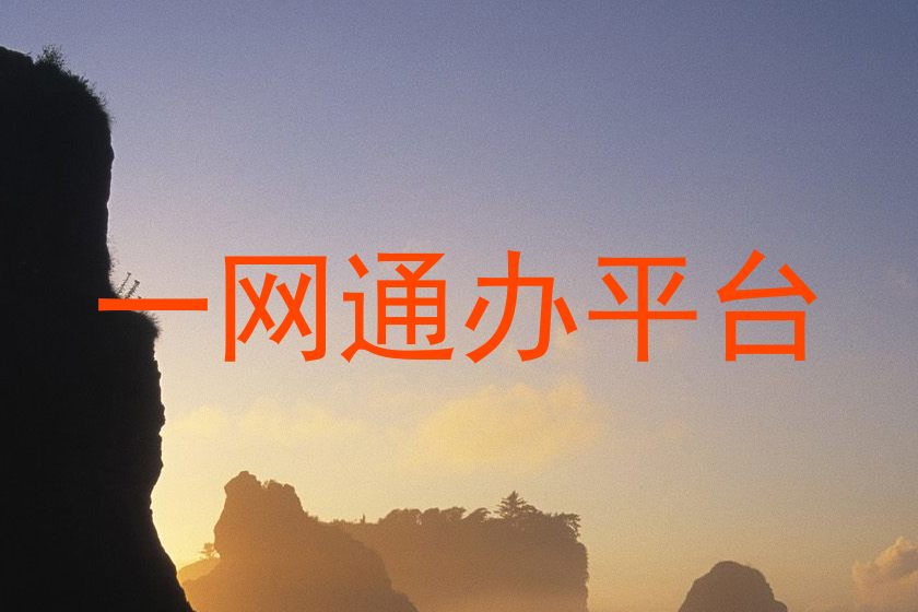 一网通办平台