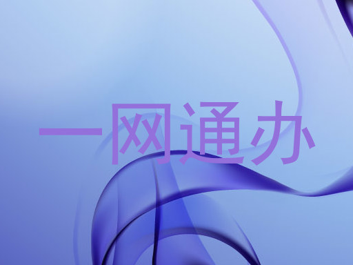 一网通办