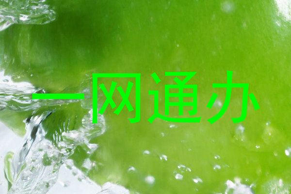 一网通办
