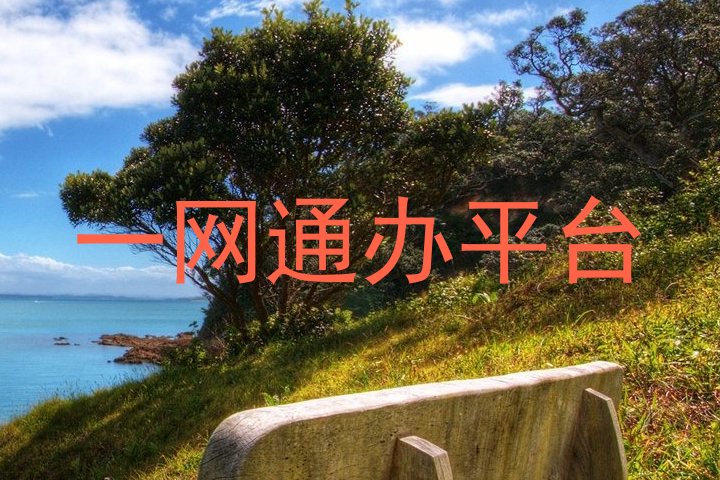 一网通办平台
