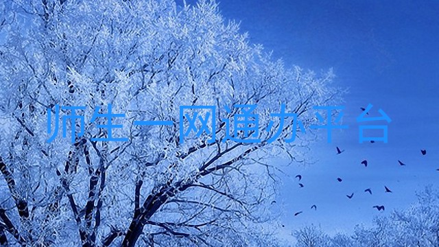 师生一网通办平台