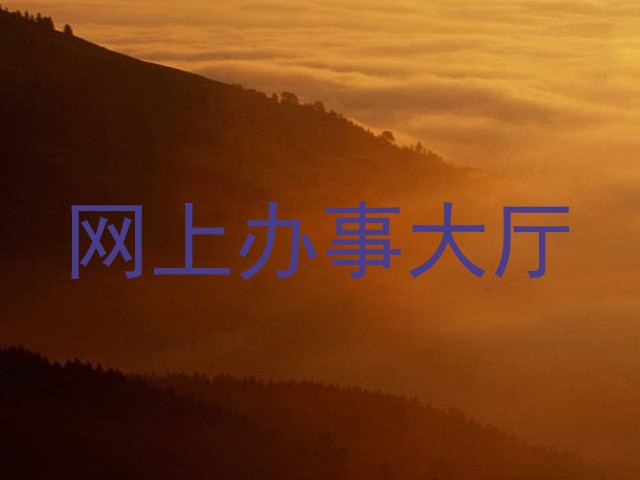 网上办事大厅