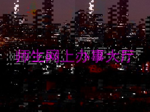 师生网上办事大厅