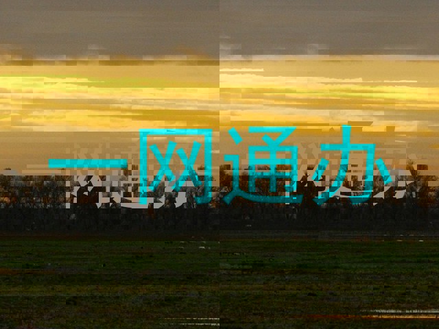 一网通办