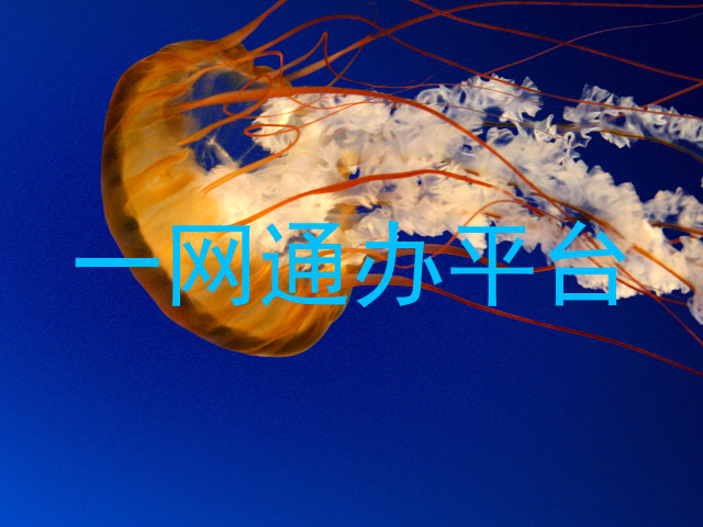 一网通办平台