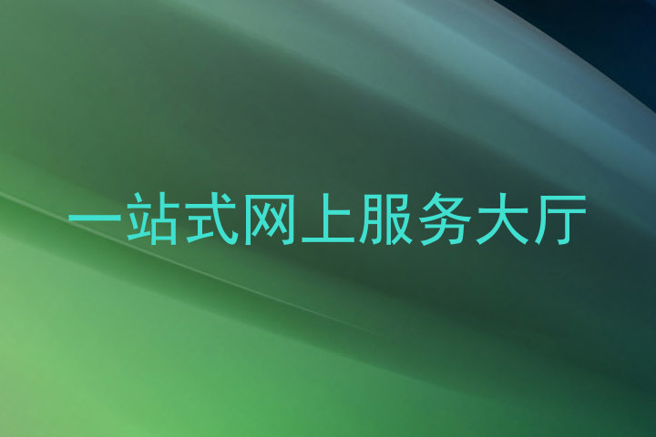 一站式网上服务大厅