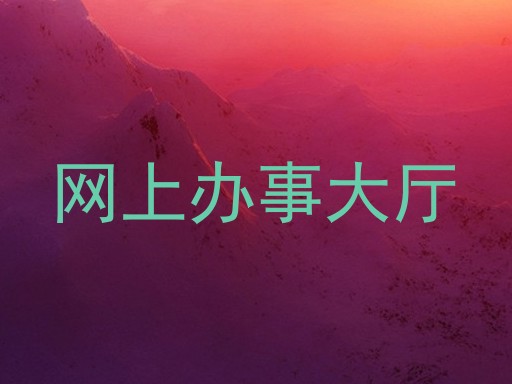 网上办事大厅