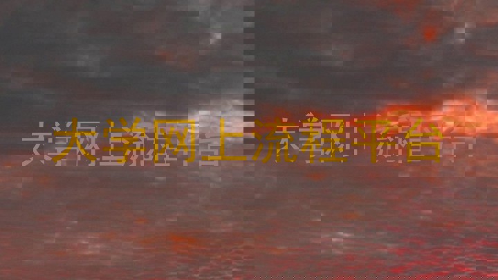 大学网上流程平台
