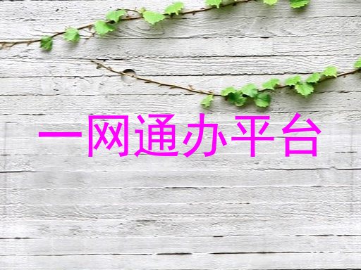 一网通办平台