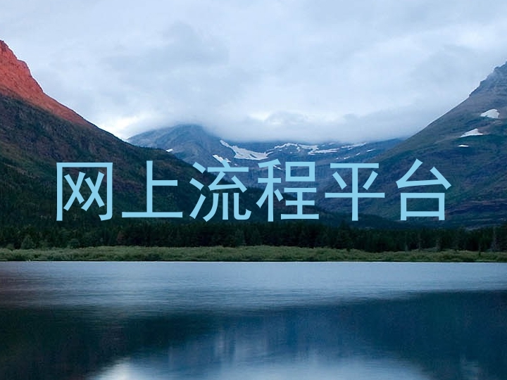 网上流程平台