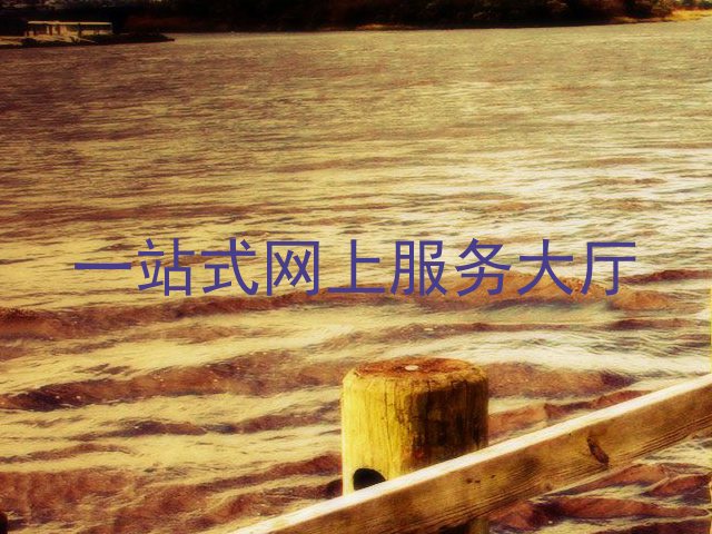 一站式网上服务大厅