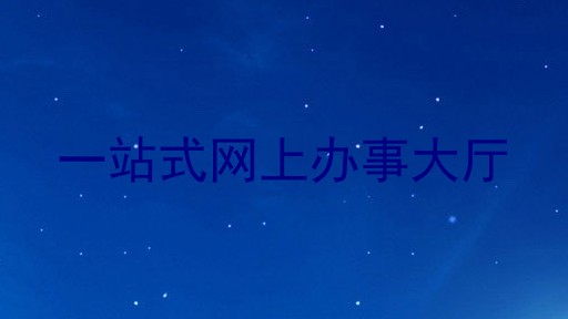 一站式网上办事大厅