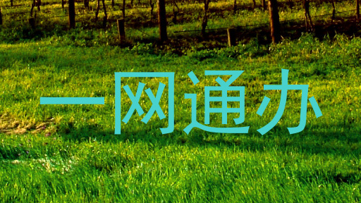 一网通办