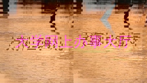 大学网上办事大厅