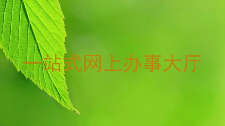 一站式网上办事大厅