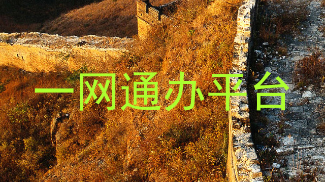 一网通办平台