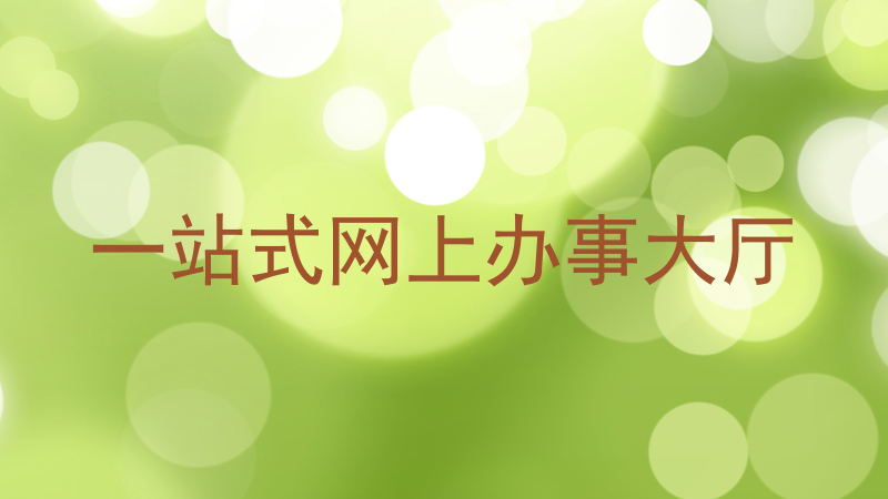 一站式网上办事大厅