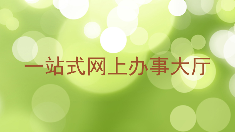 一站式网上办事大厅