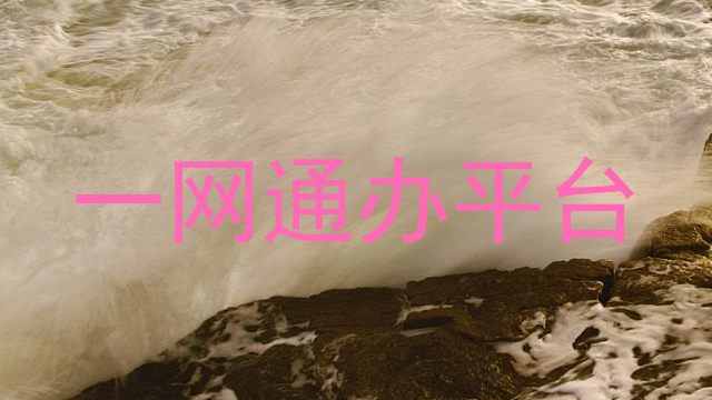 一网通办平台