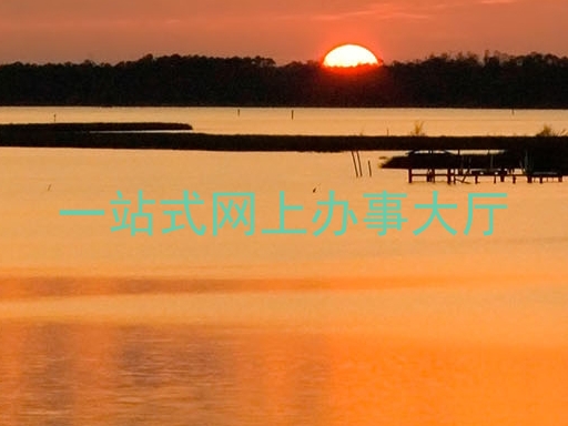 一站式网上办事大厅
