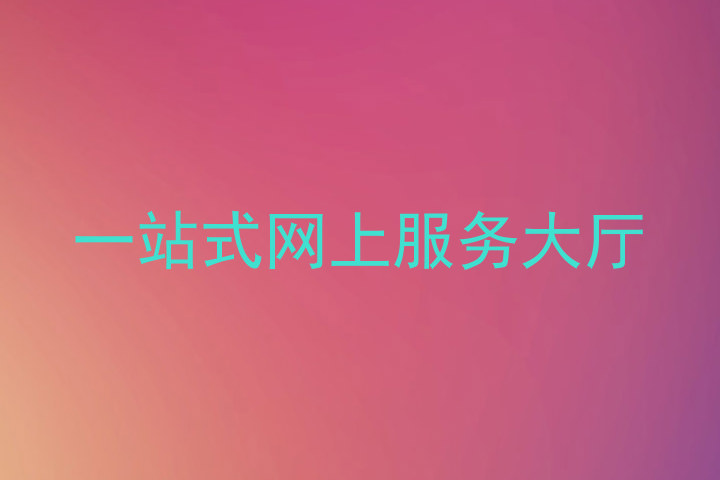 一站式网上服务大厅