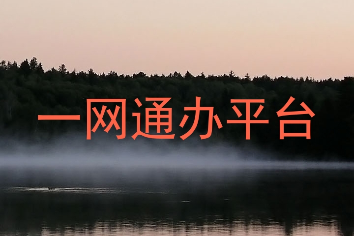 一网通办平台