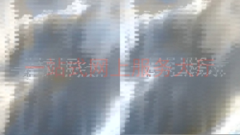 一站式网上服务大厅