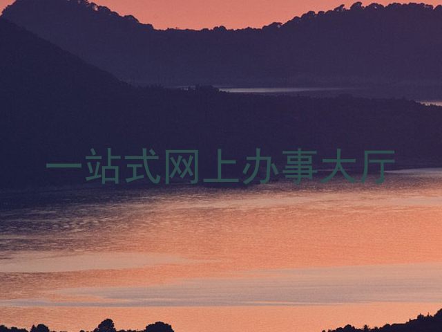 一站式网上办事大厅