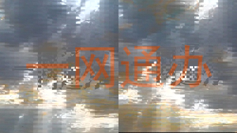 一网通办